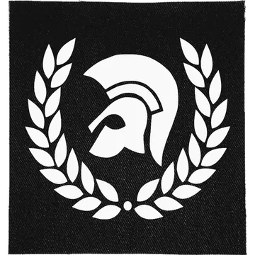 Trojan Patch