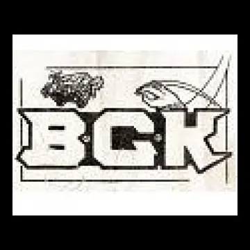 BGK - Patch (Screen Print)