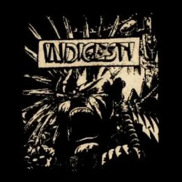 INDIGESTI - Patch (Screen Print)
