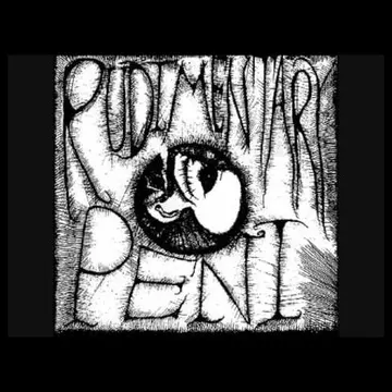 RUDIMENTARY PENI - Fetus - Patch (Screen Print)