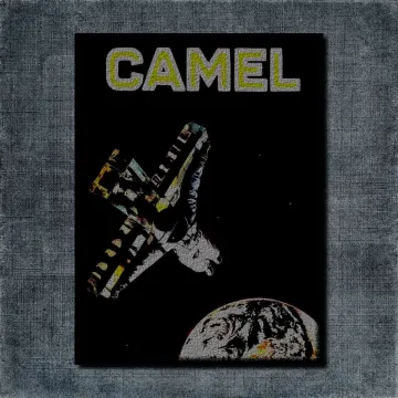 Camel Back Patch, Camel I Can See Your House from Here Big Back Patch