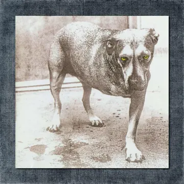 Alice in Chains Back Patch, Alice in Chains – Alice in Chains Big Back Patch