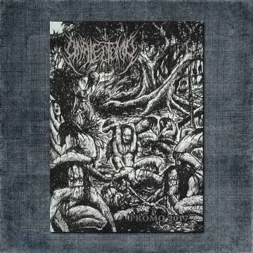 Analectomy Back Patch, Analectomy – Promo 2017 Big Back Patch