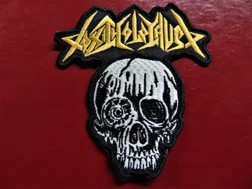 TOXIC HOLOCAUST…  Embroidered Patch  (thrash black)    U.S.A   548