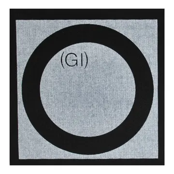 The Germs GI Cloth Patch