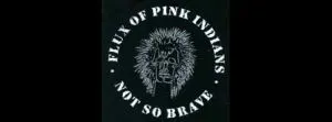 Flux Of Pink Indians Not So Brave FLUX01